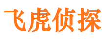 赤城私人侦探